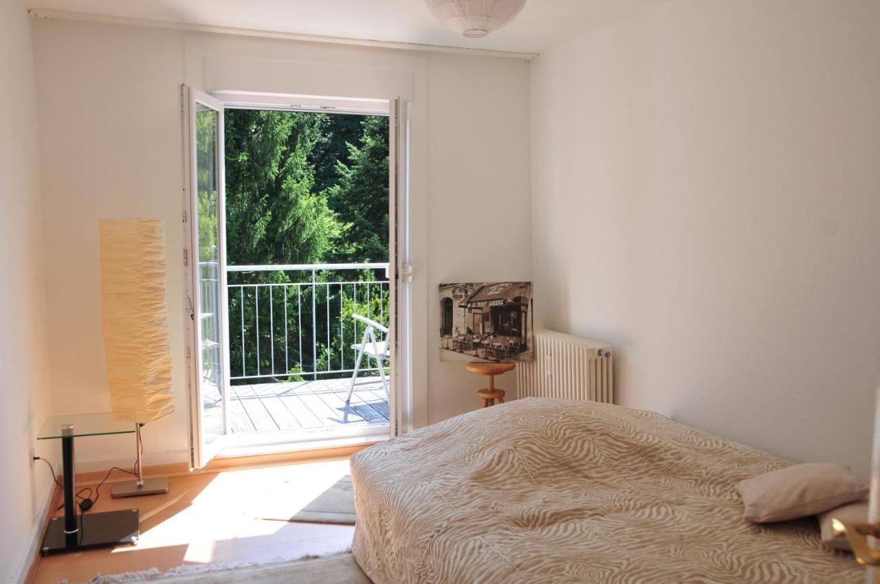 Stadt- Naturnah, Traumblick Und Balkon Appartement