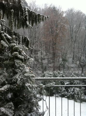 Stadt- Naturnah, Traumblick Und Balkon *
