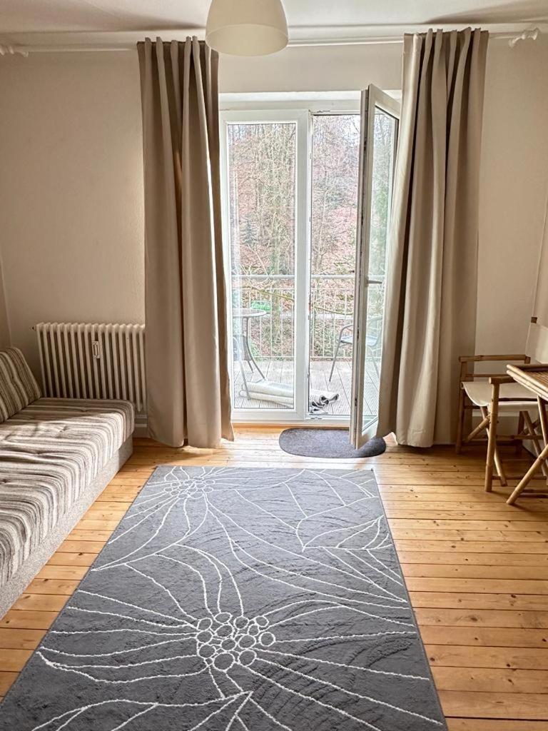 Appartement Stadt- Naturnah, Traumblick Und Balkon