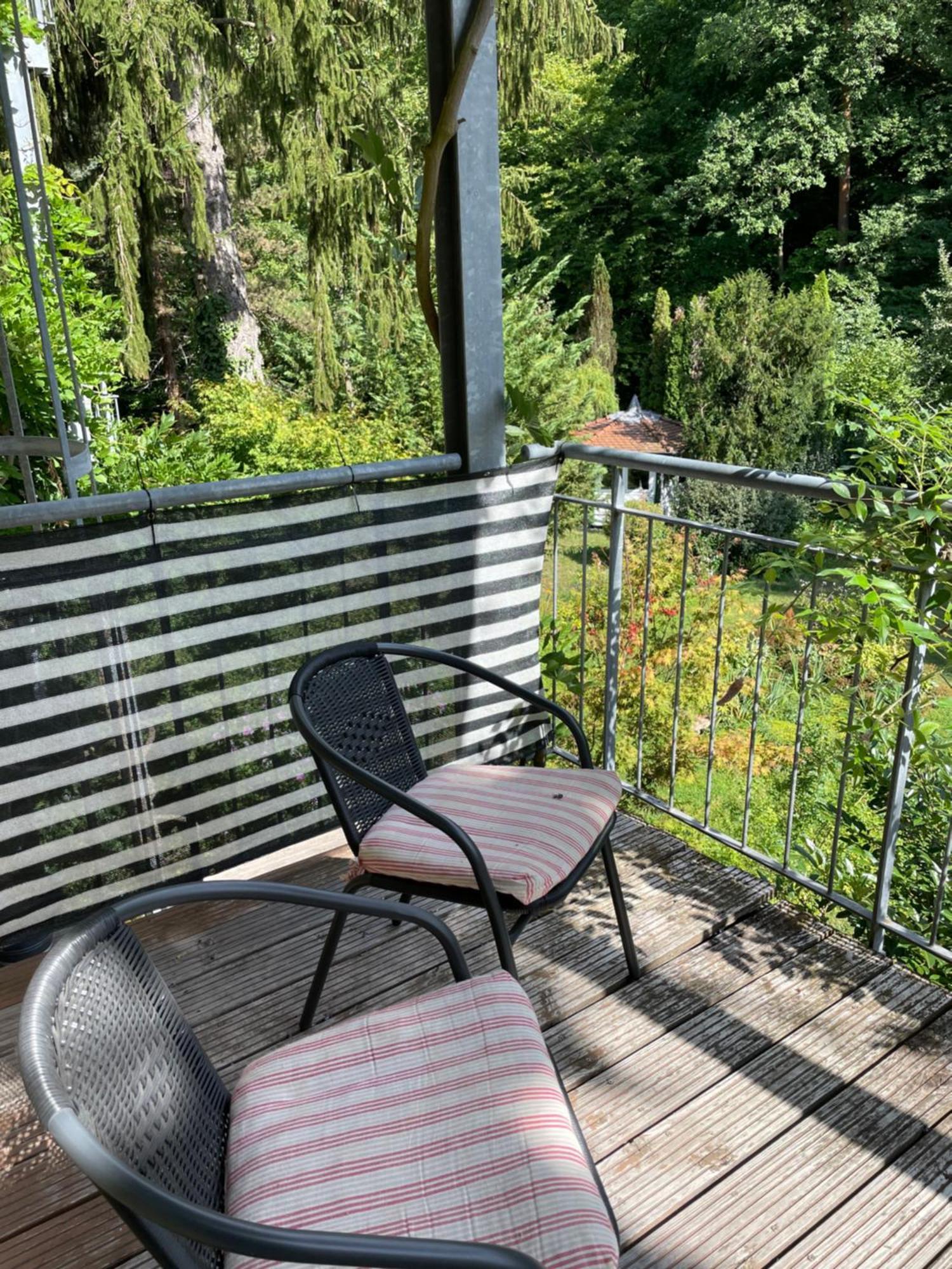 Appartement Stadt- Naturnah, Traumblick Und Balkon Baden-Baden